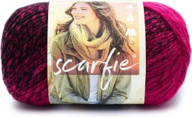 (1 Skein) Lion Brand Yarn Scarfie Bulky Yarn, Black/Hot Pink